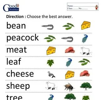 Wordwall ee ea
