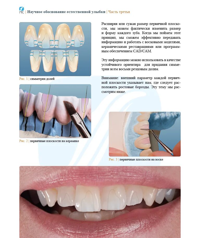 анатомия фиссур для зубных техников. анатомия передних зубов и изучение принципов естественной улыбки. атлас анатомической формы зубов ptc. анатомическая форма зубов нижней челюсти. анатомия зубов для зубных техников учебник.