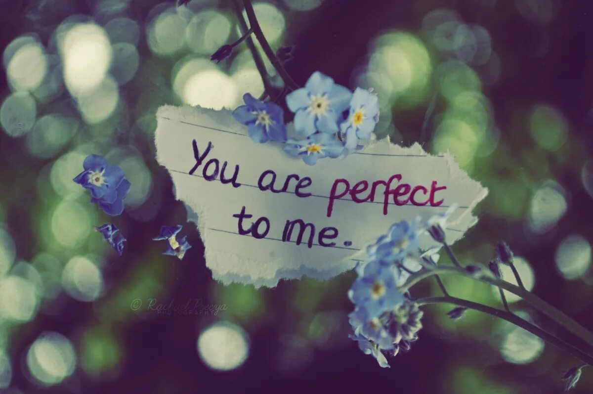 You are. You are beautiful. You are beautiful надпись. You are perfect beautiful.