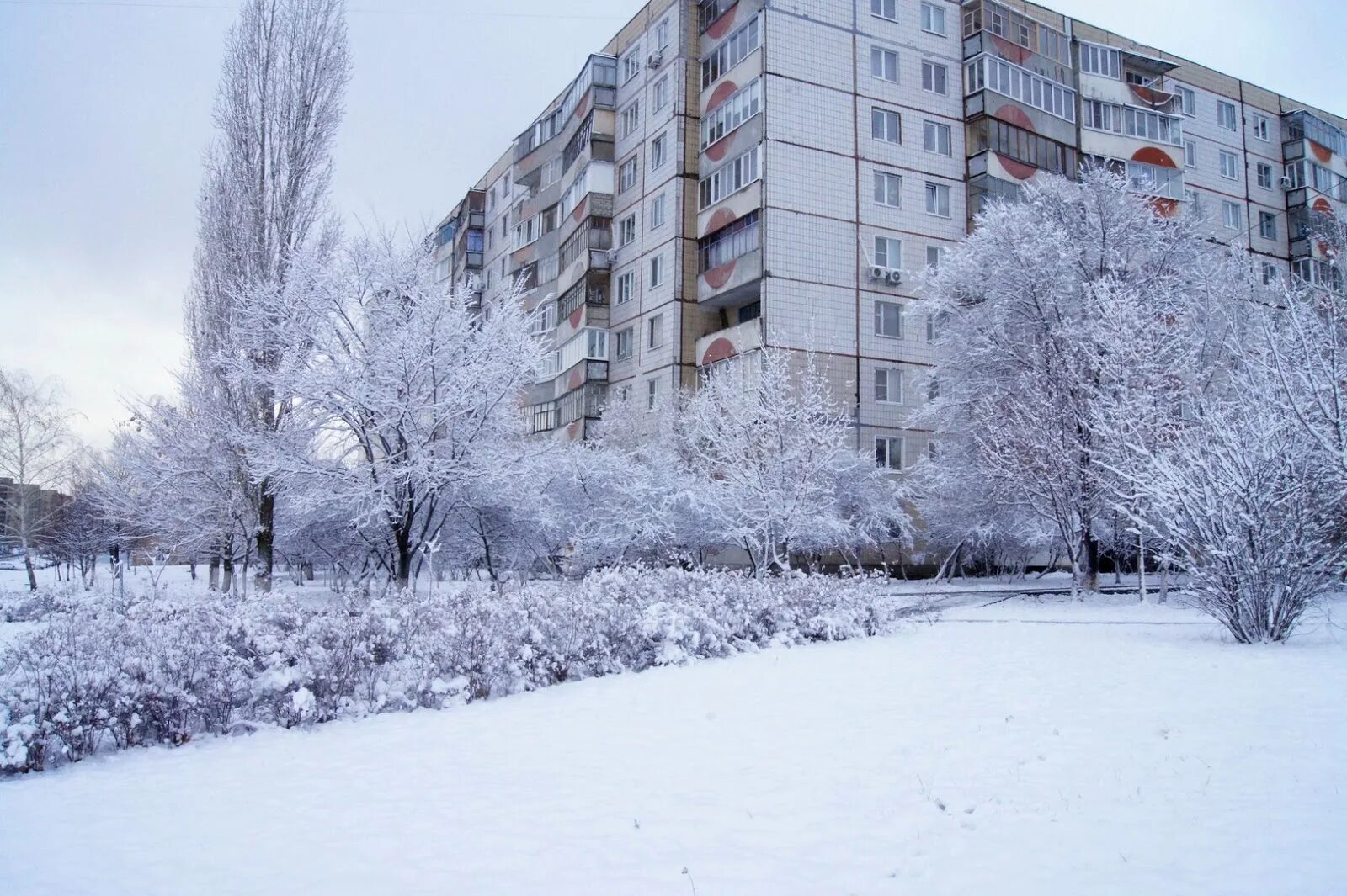 Храм старый оскол зима. Зимний старый оскол. Церковь старый оскол зимой. Зимний старый оскол. Церковь сергия радонежского старый оскол.