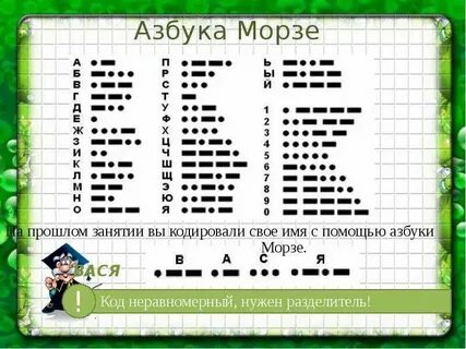 Хомяк морзе 10 11