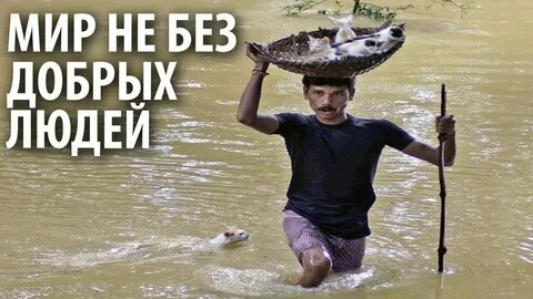 Не без добрых