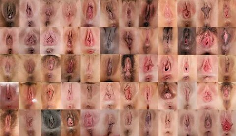 Разновидности женских пизд (82 фото) 