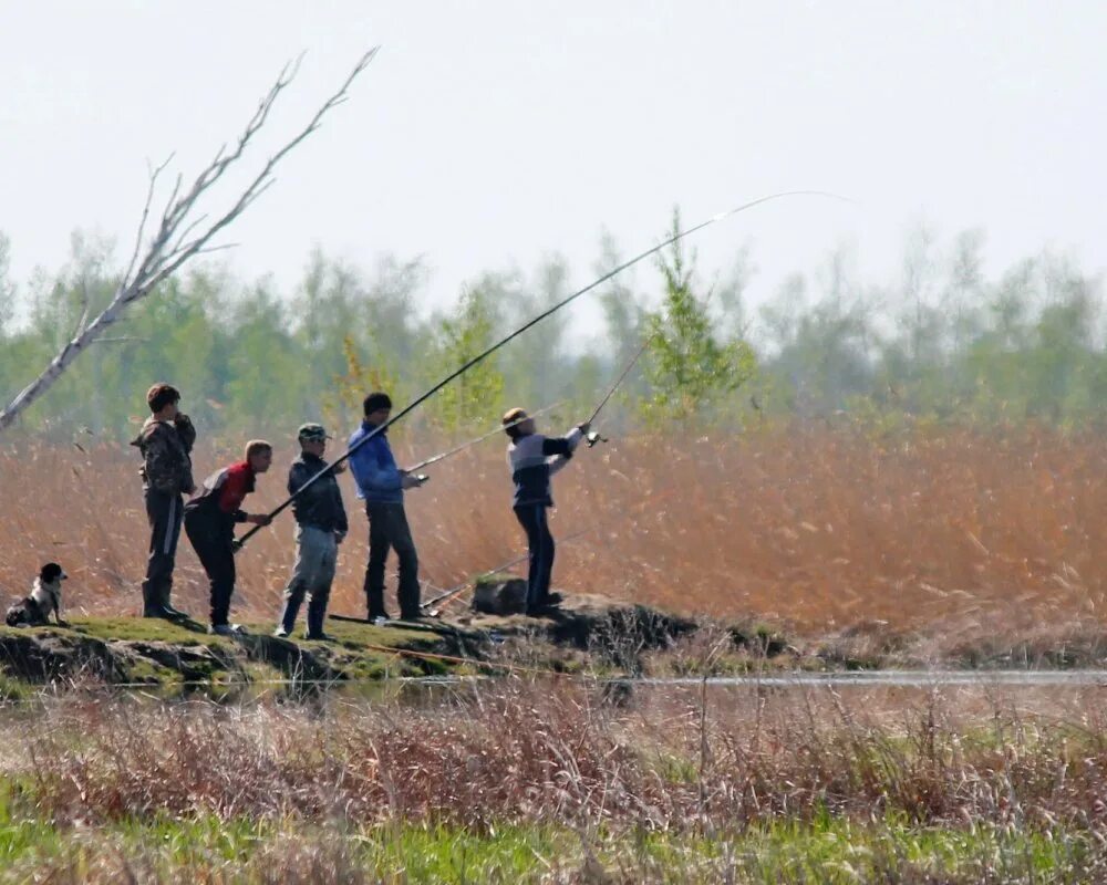 экзотическая охота