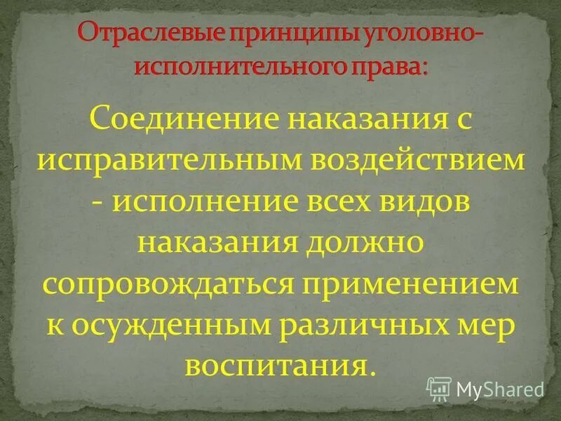 Отраслевые принципы в уголовно-исполнительном законодательстве. Меры исправительного воздействия