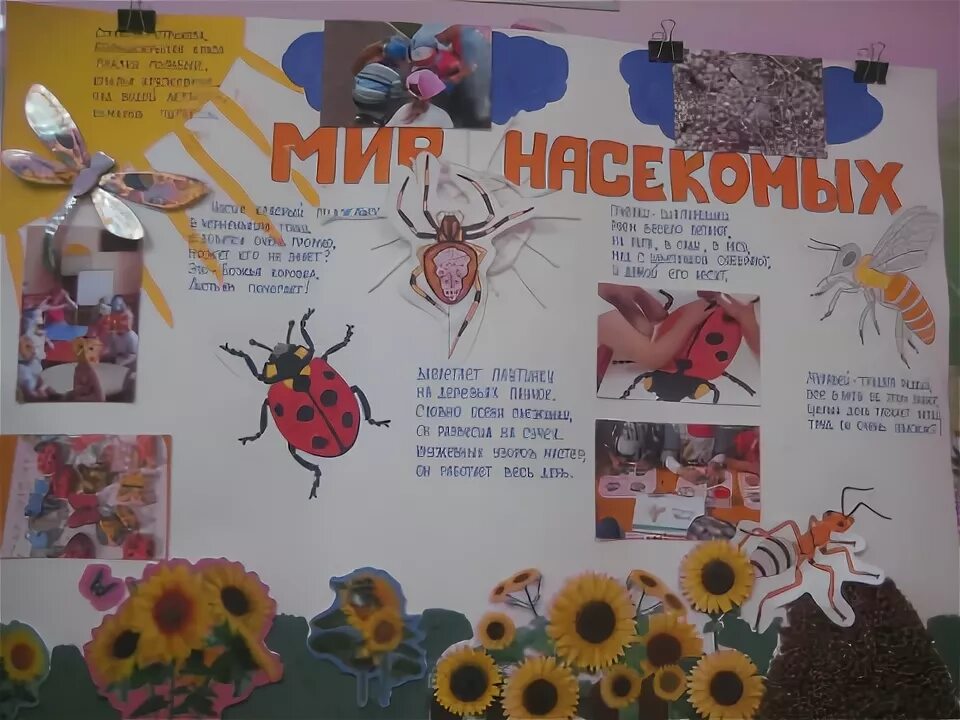 Проект удивительный мир насекомых Сценарий досуга для детей старшего дошкольного возраста (5-7 лет). Тема: Мир нас