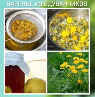 Рецепт варенья из одуванчиков 200 штук