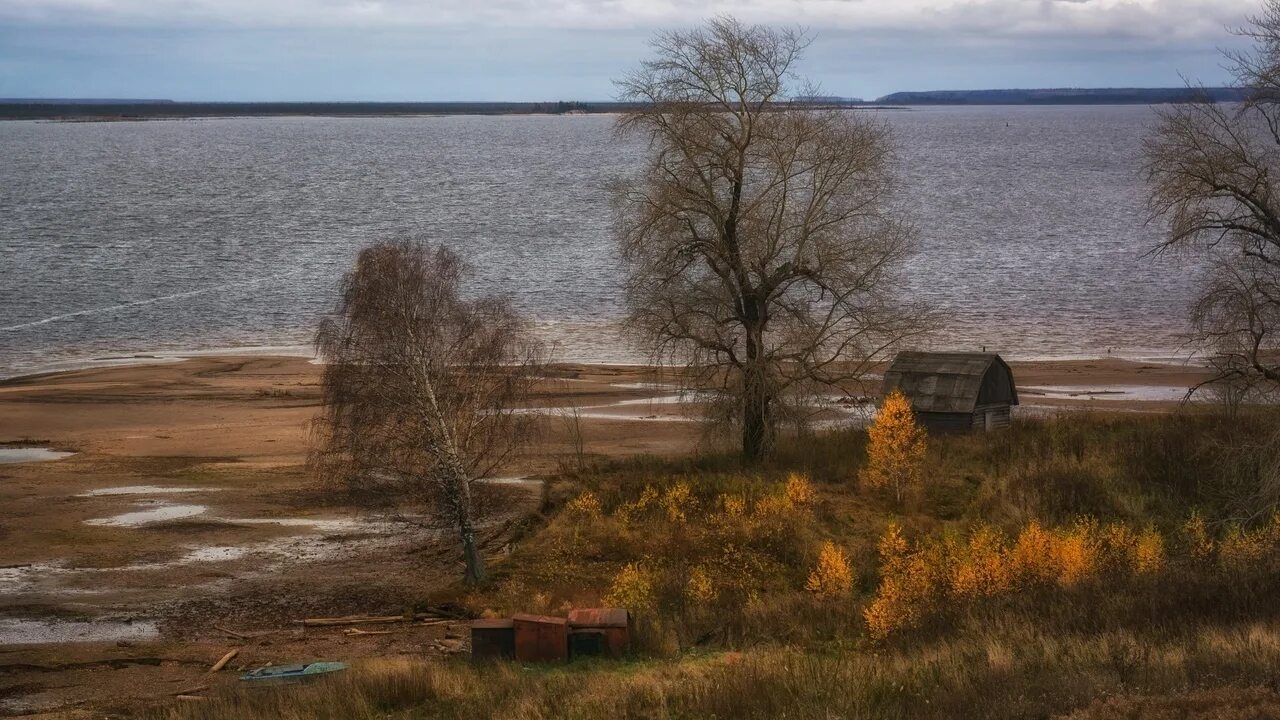 Пожва пермь автобус. Острова в Пожве Пермского края. Пожва острова заячьи. Пожва Кама острова. Пожва Пермский край зелёные острова.