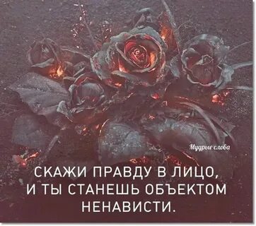 Горькая правда что это
