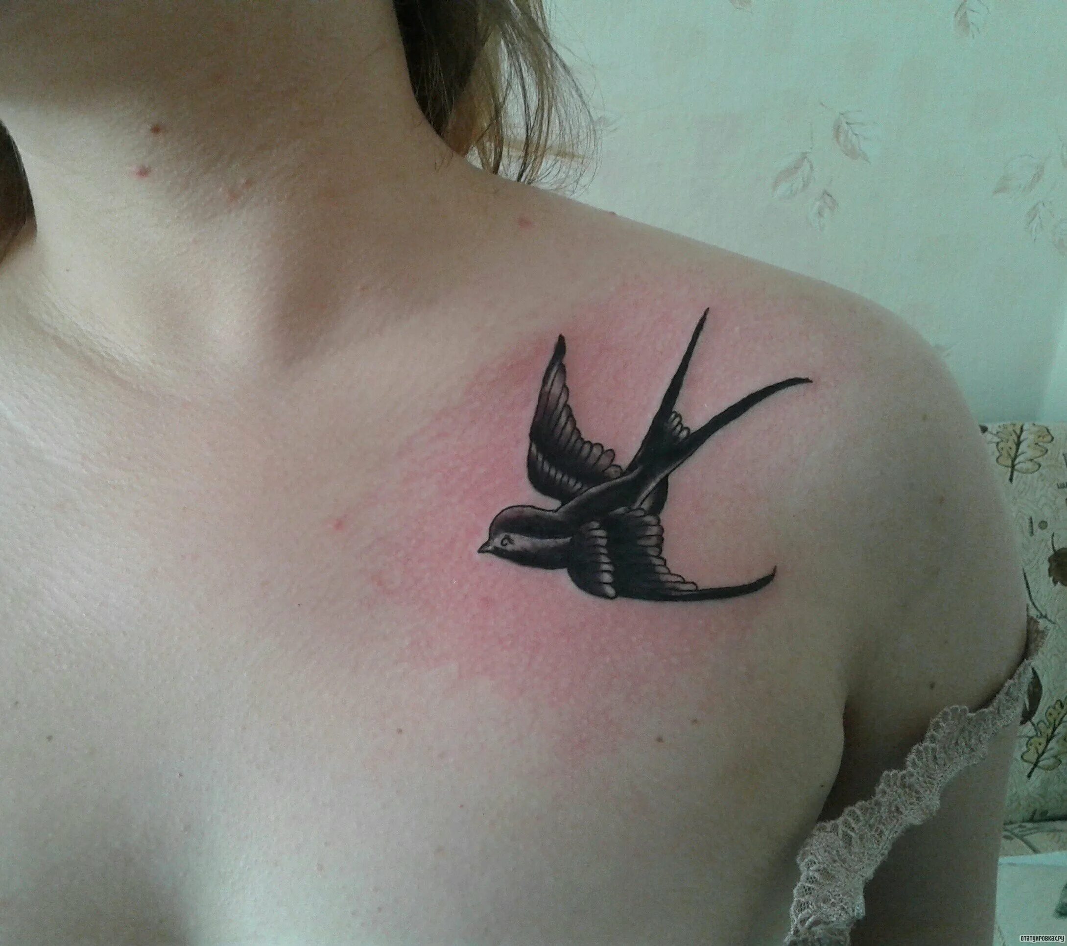 Тату ласточки для девушек. Красивые тату ласточки. Тату листочки. Тату листочки. Ласточки на ключицах.
