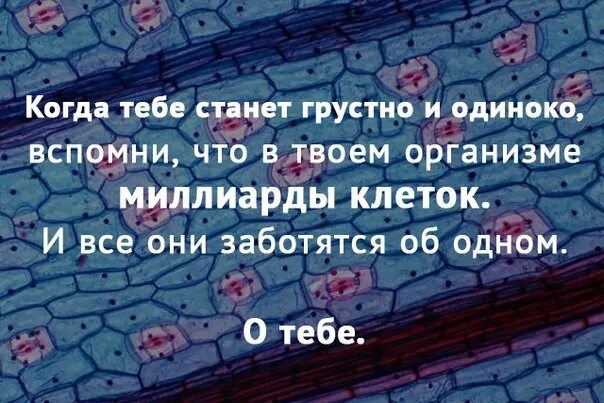 Что делать когда тебе одиноко. Что делать когда тебе грустно. Взрослая жизнь. Что делать когда грустно. Что делать когда грустно.