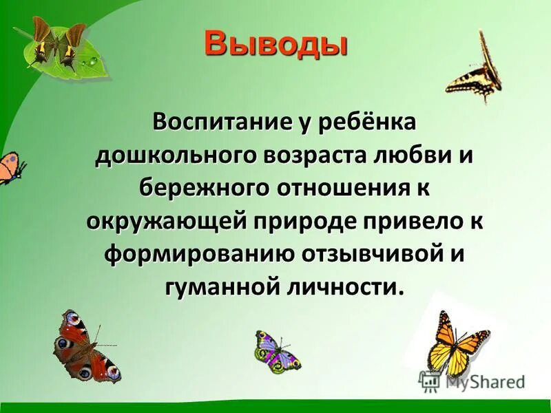 Проект насекомые. Вывод о воспитании. Насекомые нашей местности проект. Проект про насекомых начальные классы.