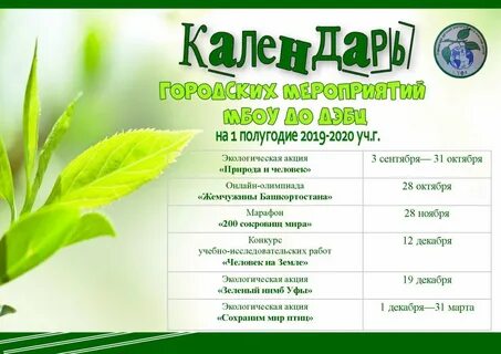 Эко дата