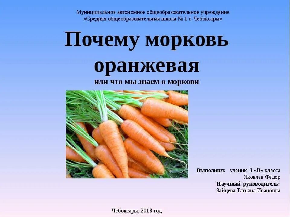 Цветная морковь. Почему морковь оранжевая. Почему морковь оранжевая. Оранжевая морковь. Оранжевая морковь.