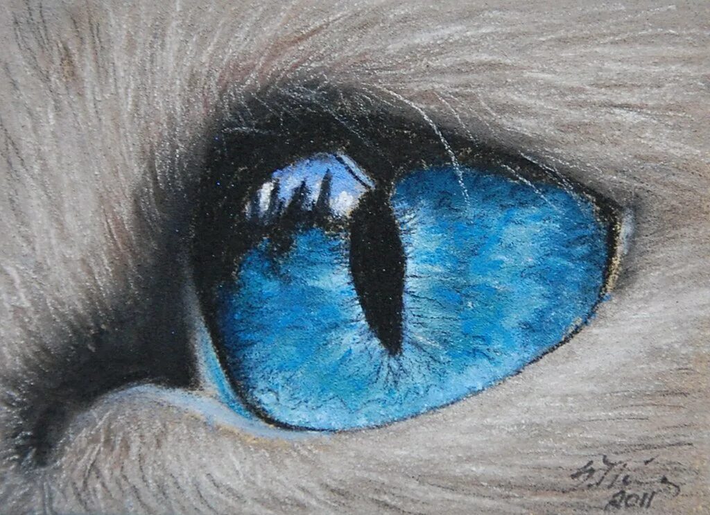 Глазки краски. Глаза кошки. Кошачий глаз. Рисуем кошачий глаз. Кошачьи глаза рисунок.
