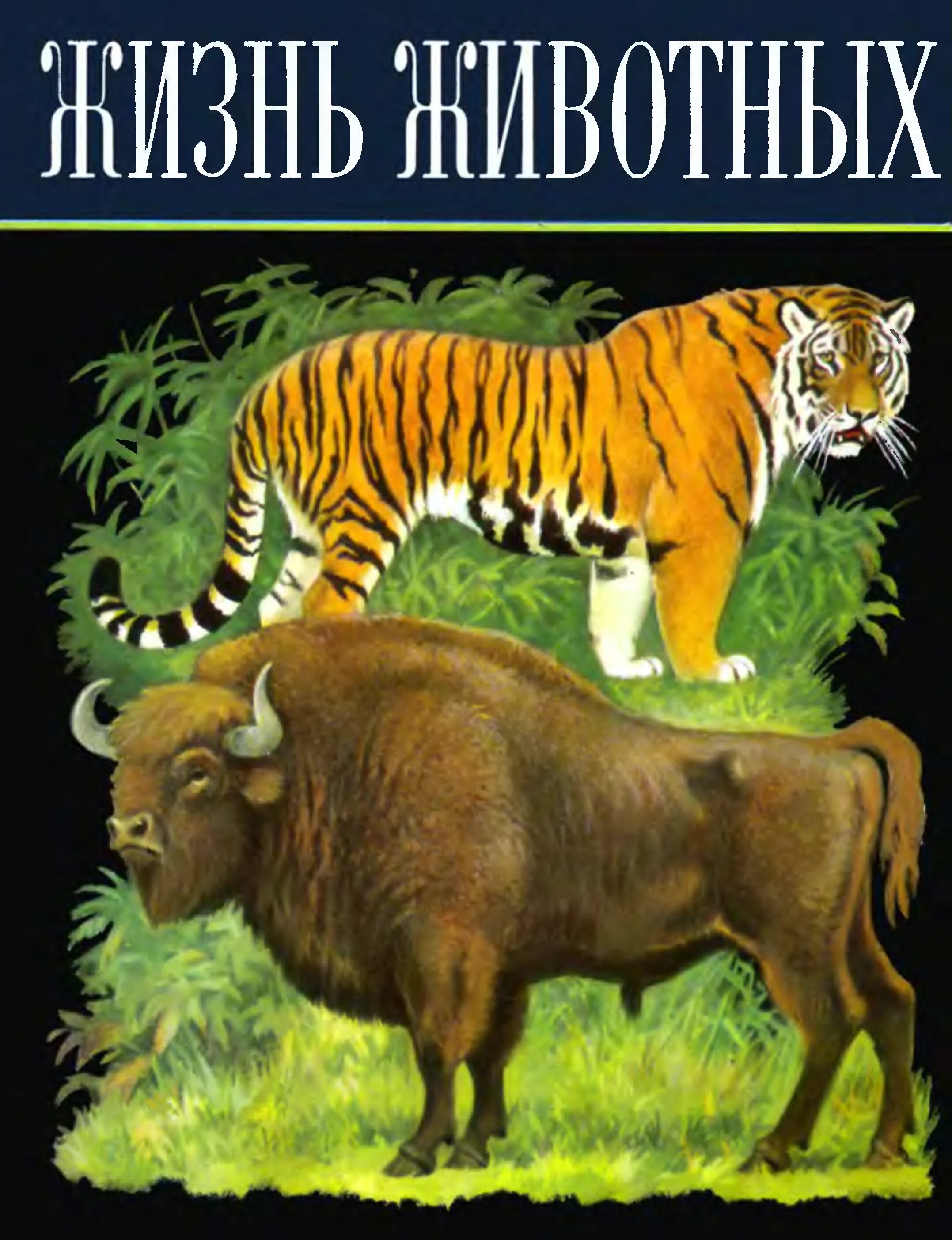 Жизнь животных Зенкевич. Жизнь животных 6 томов. Жизнь животных суперобложка. Энциклопедия про животных СССР.