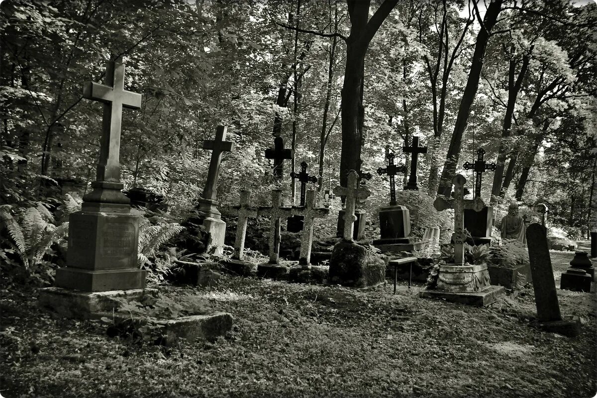 волково кладбище санкт-петербург лесков. архив кладбищ санкт петербурга. смоленское кладбище в санкт-петербурге. некрополь кладбище в санкт-петербурге. александро-невская лавра санкт-петербург некрополь.