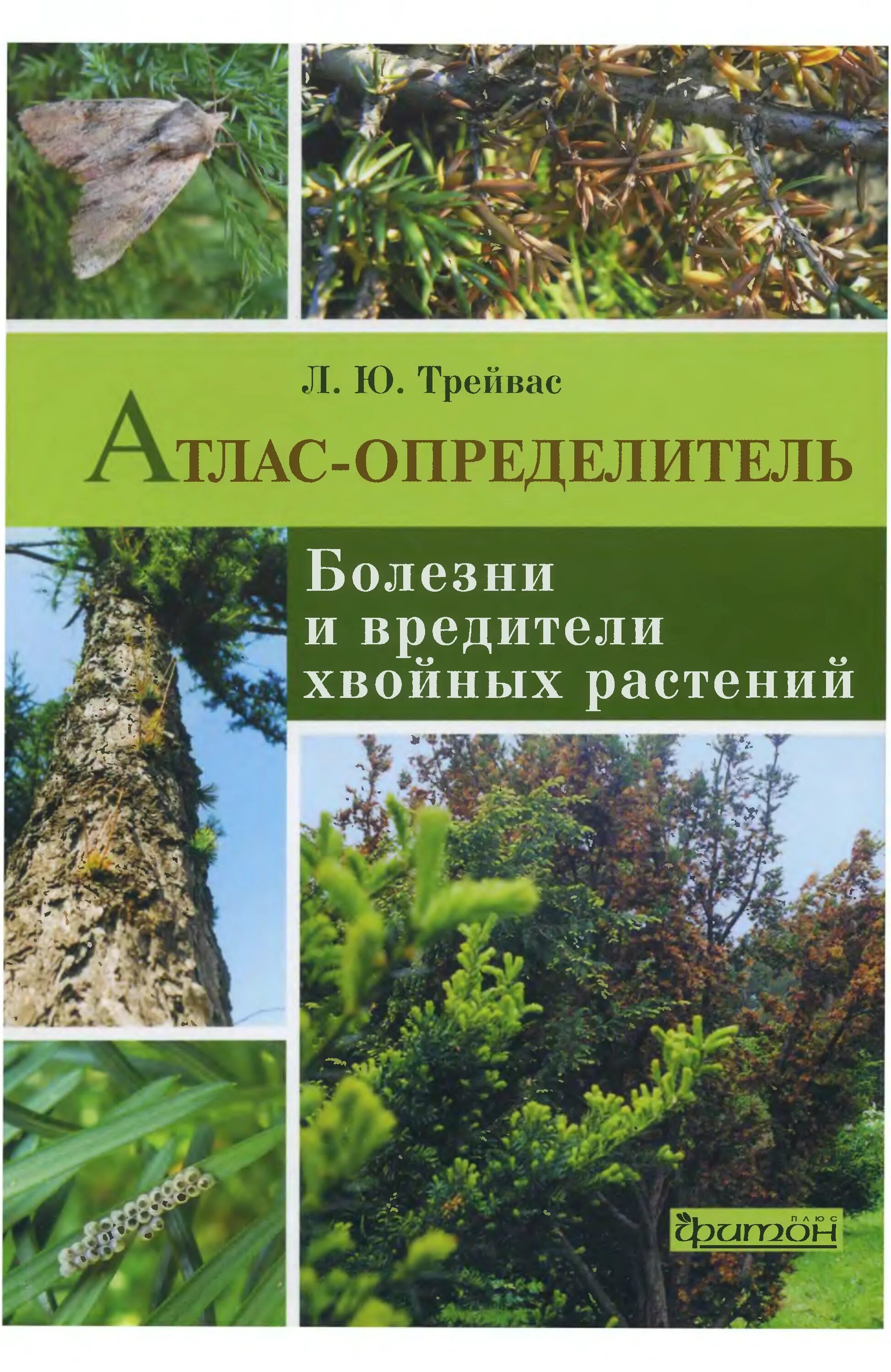 Книги хвойных. Трейвас л.ю. болезни и вредители хвойных растений. Трейвас "болезни и вредители плодовых растений" pdf. Трейвас атлас определитель. Атлас-определитель. Болезни и вредители | Трейвас любовь Юрьевна.