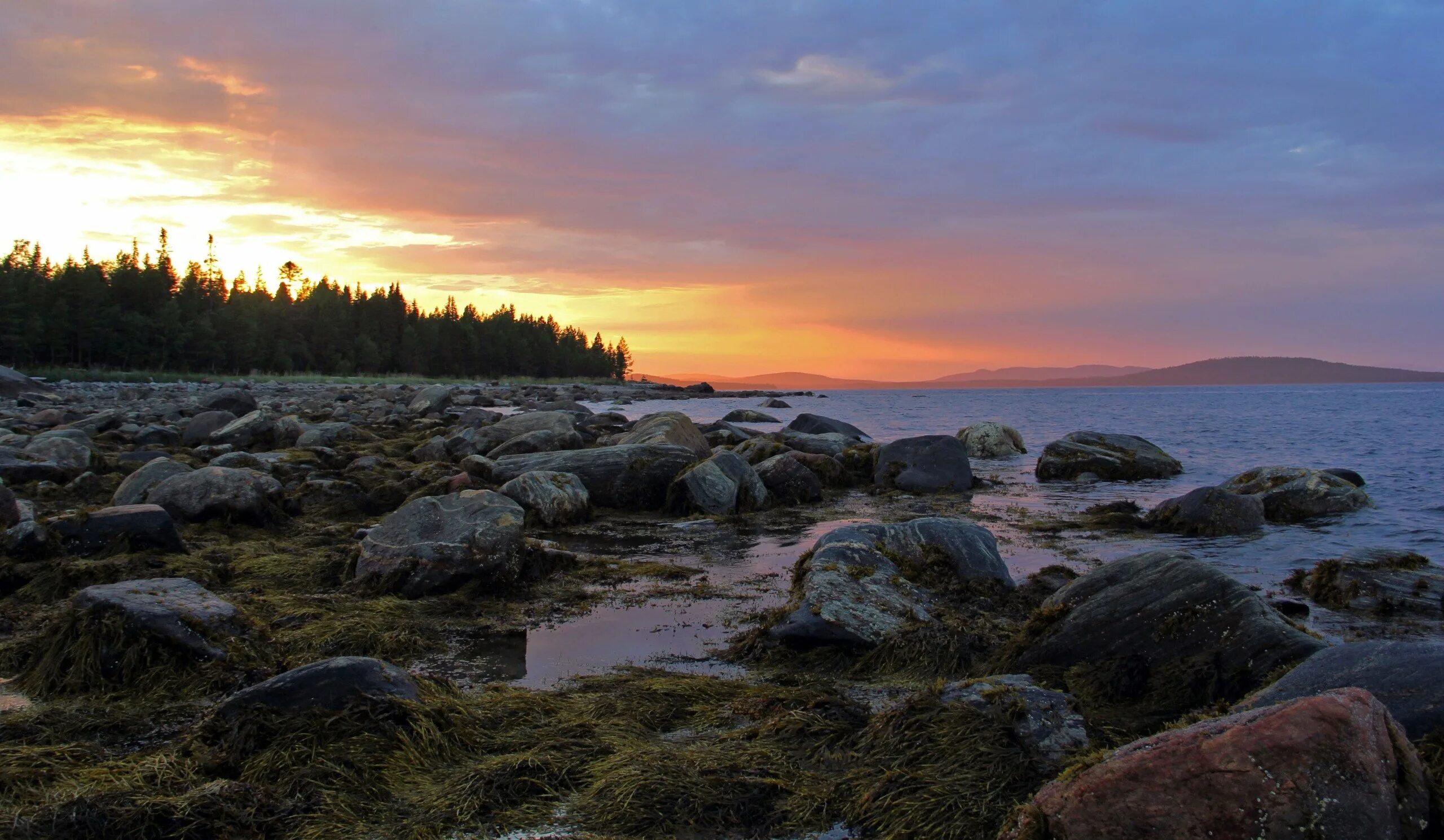 Терский берег (умба) белое море. Кандалакша берег белого моря. Белое море мурманская область кандалакша. Кандалакшский залив белого моря в мурманской области. Колвицкое озеро.