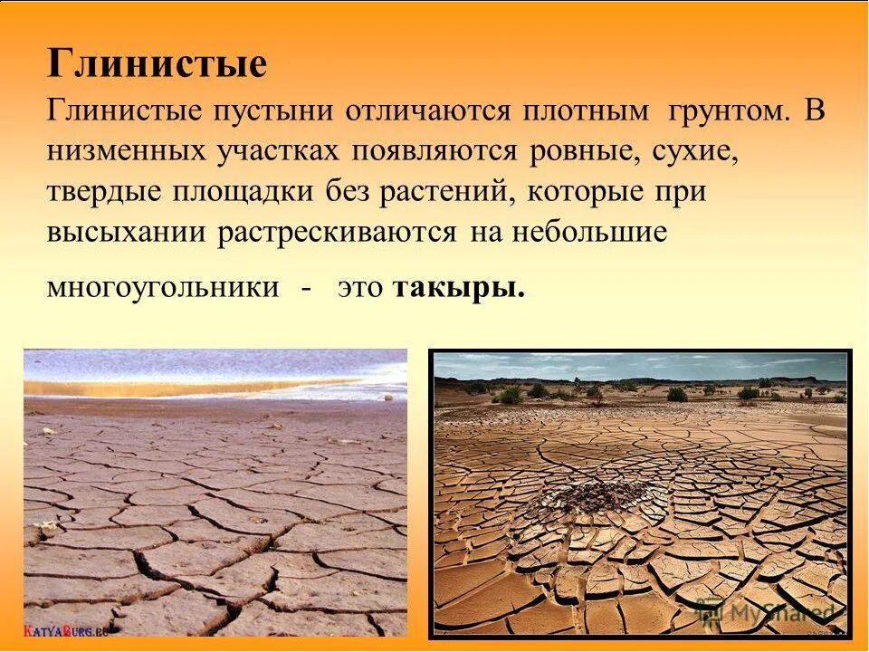 Какая почва в природной зоне пустыни. Глинистая почва пустыни России. Глинистая пустыня. Суглинистые пустыни. Глиняные пустыни.