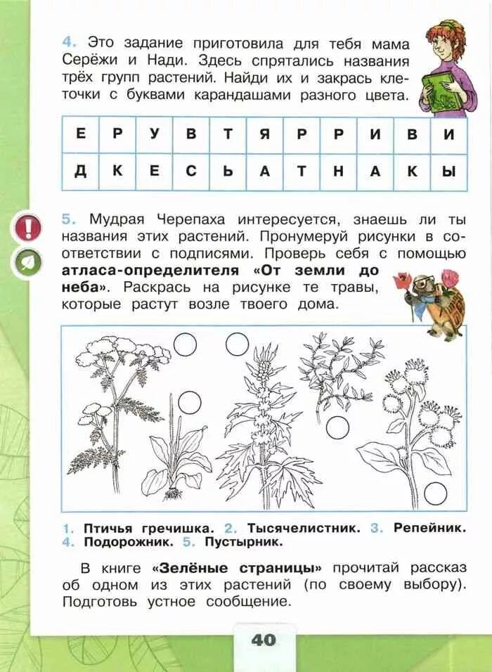 Растения 2 класс окружающий мир рабочая тетрадь