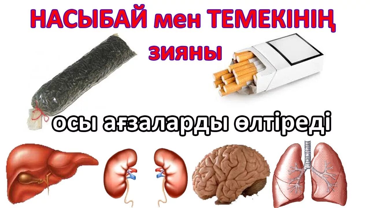 Темекінің зияны. Презентация темекі зияны. Зиянды әдеттен аулақ бол презентация. Картинки зиянды заттар. Зиянды заттар презентация.