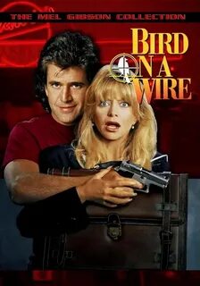Bird on a wire