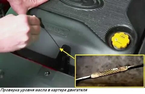Вест проверить