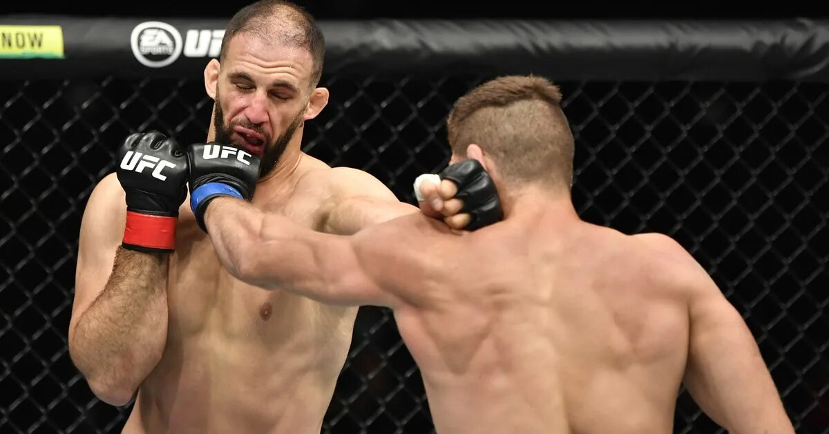 Прохазка ufc
