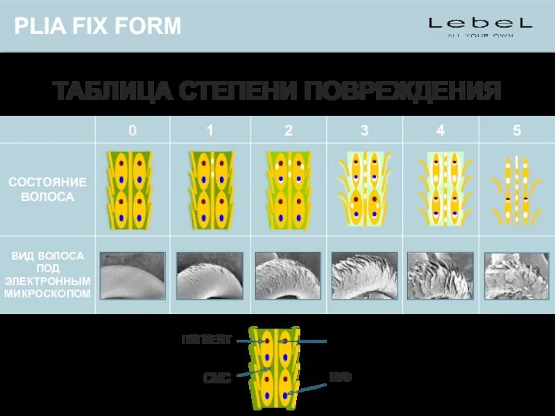 Стадии повреждения волос. Степень повреждения волос таблица. Тест на степень повреждения волос. Степени поврежденных волос.