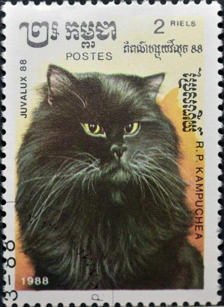 Марки кот. Марки с кошками. кошки на почтовых марках. почтовая марка с котом. марки кошки 1988.