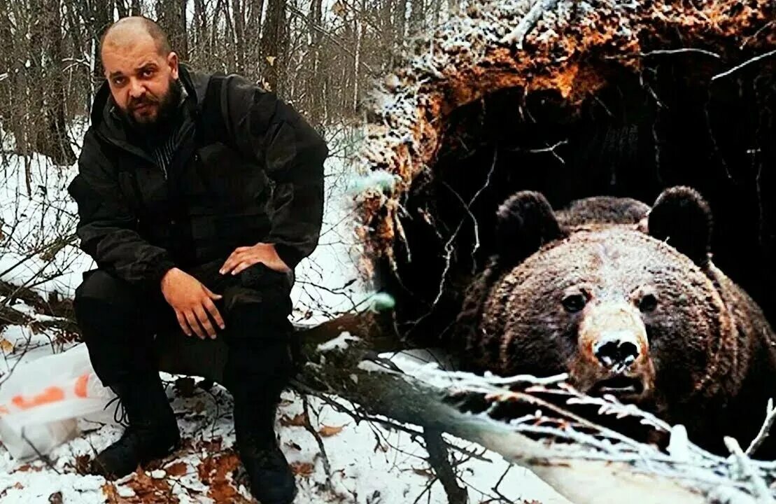 Выживалово в лесу. Выживалово в лесу. Выживалово в лесу. Выживалово в лесу. Медведь в зимнем лесу.