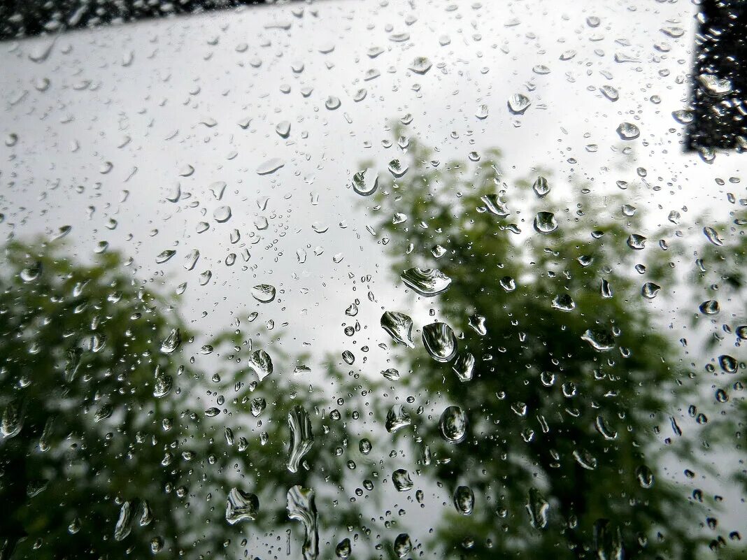 Дождливый день. Ребенок в луже. Дождь по улице идет мокрая. Девушка - осень в петербурге эдуард гордеев -. Эдуард гордеев трамваи.