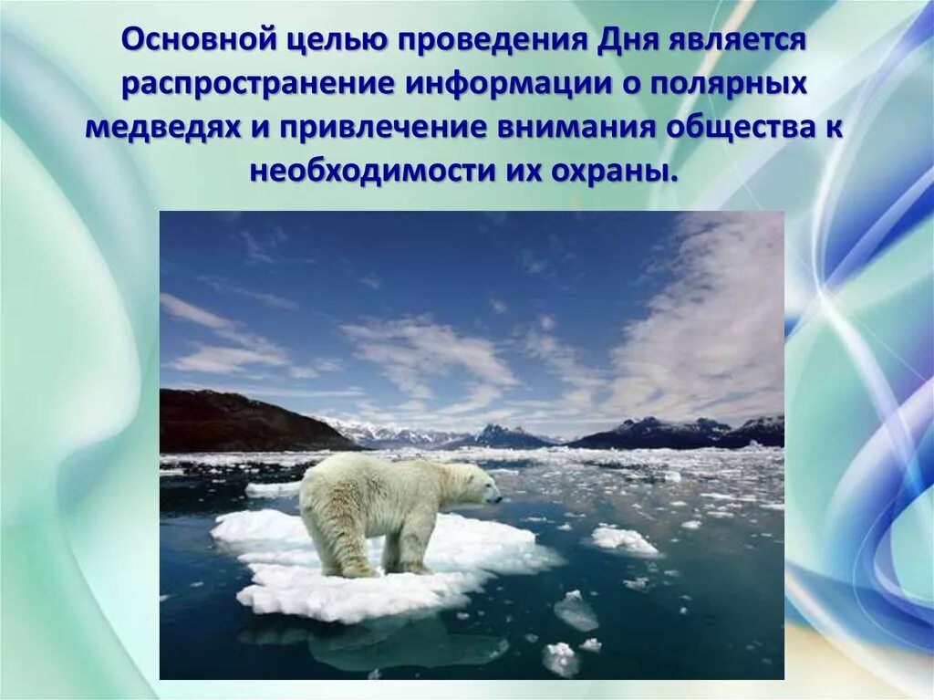 Международный день полярного медведя. Международный день белого медведя. 27 Февраля Международный день белого медведя. Международный день полярного (белого) медведя. Приспособленность бурого медведя к среде обитания