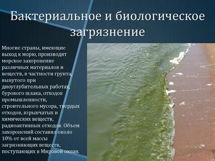 Экологические проблемы и пути их решения балтийского