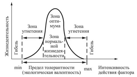 Зависимость оптимальных значений
