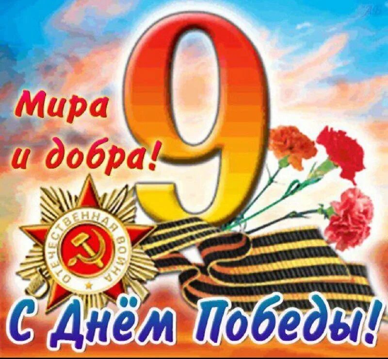 цветок день победы. с днем победы. с праздником 9 мая.