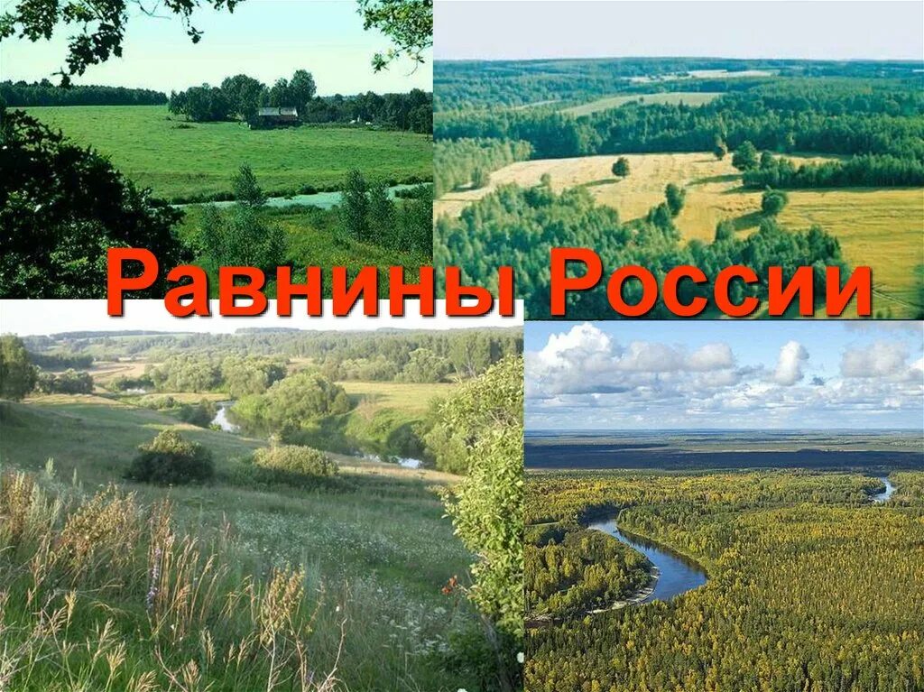 Равнины России. Известные равнины России. Самые известные равнины. Рельеф равнины.