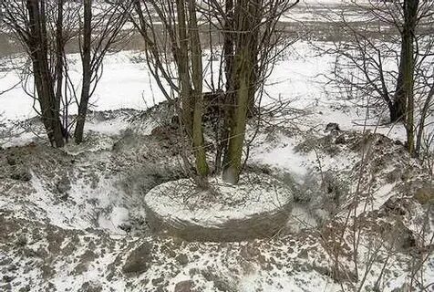 Зимняя посадка