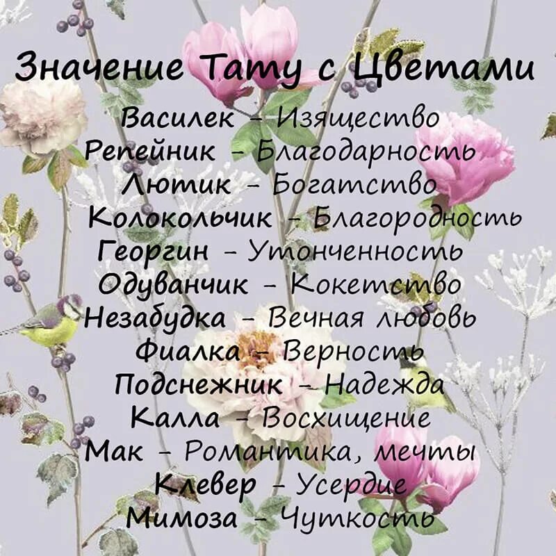 Значения цвета цветов для девушки