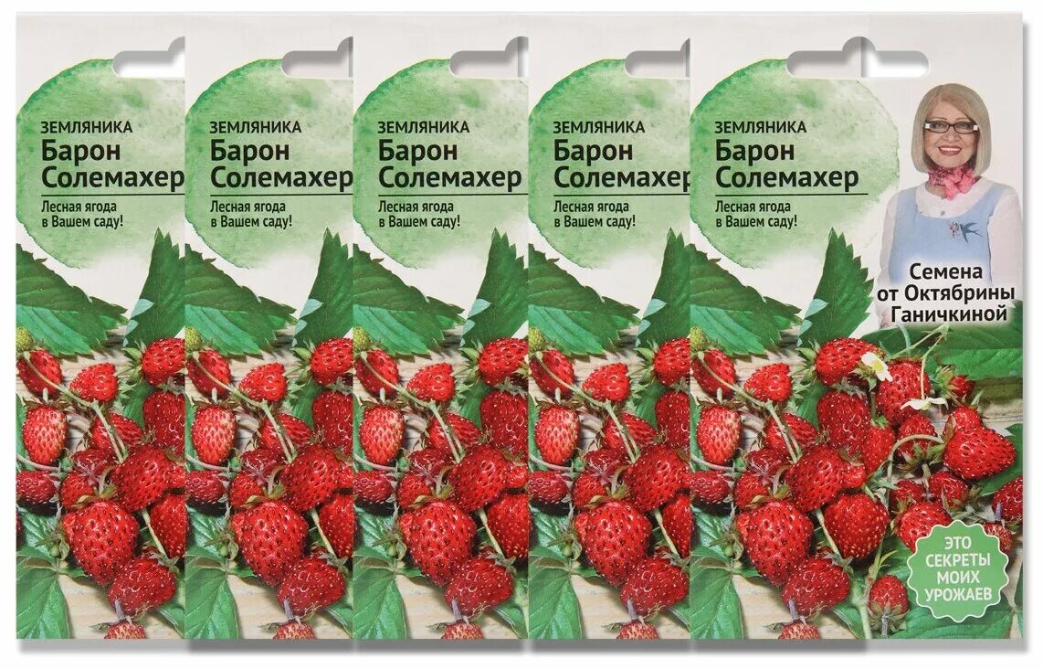 Земляника барон солемахер выращивание. Солемахер земляника ремонтантная. Земляника ремонтантная барон солемахер седек. Земляника садовая барон солемахер. Семена земляники барон солемахер.