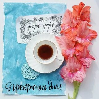 С добрым утром картинки красивые девушки необычные