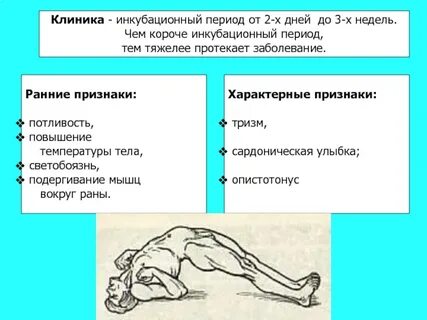 Короткий инкубационный период