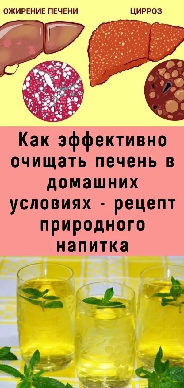 Очистка печени в домашних. Как можно очистить печень в домашних условиях. Чистка печени в домашних условиях. Как почистить печень дома. Чем чистить печень в домашних условиях