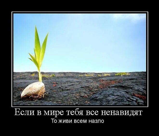 Маленький несмотря. А жизнь продолжается. иди к своей цели. иди к своей цели несмотря ни на что. идти к цели несмотря ни на что.