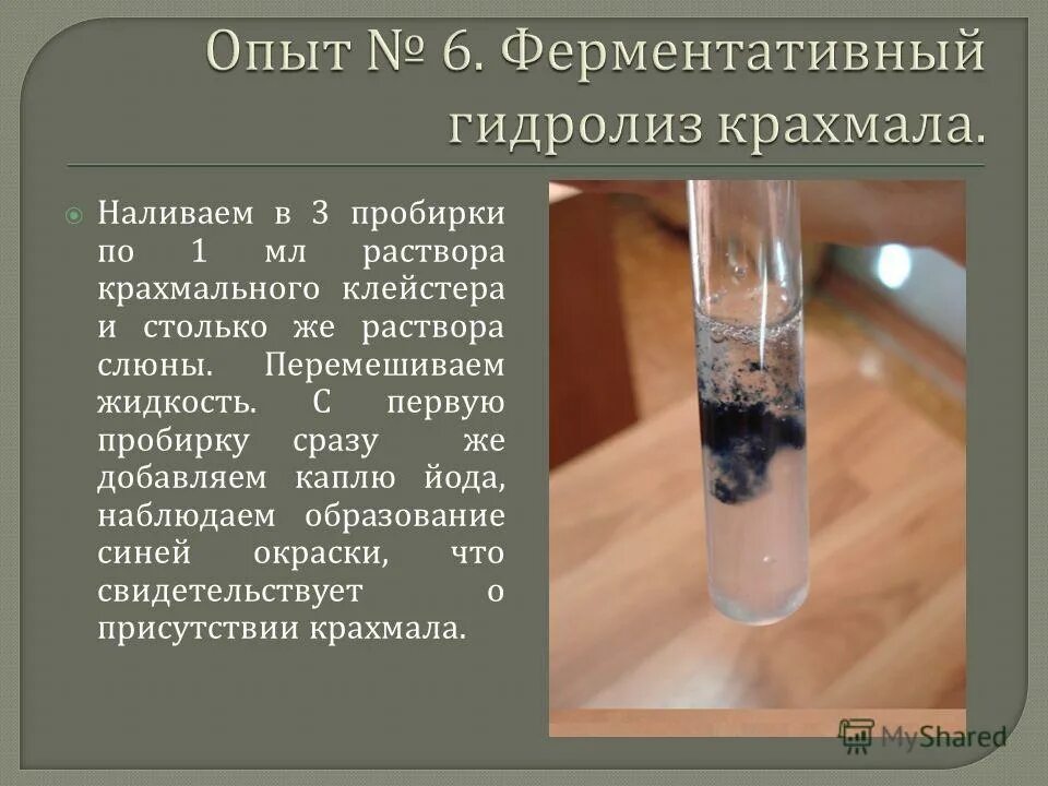 Гидролиз опыты. Фер ентативный гидролиз крахмала. Ментативный гидролиз крахмала. Ферментативный гидролиз крахмала. Ферментативный гидролиз крахмала реакция.