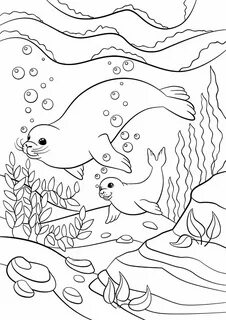 Lake coloring books