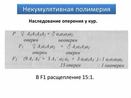 Расщепление при некумулятивной полимерии