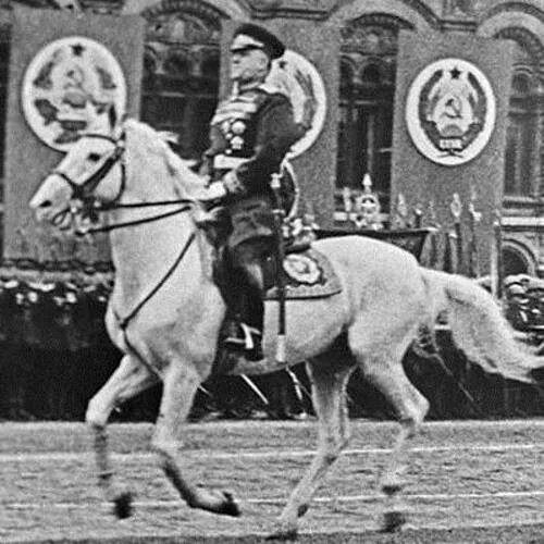 Победа на коне. Маршал Жуков 1945. Жуков на параде Победы 24 июня 1945 года.