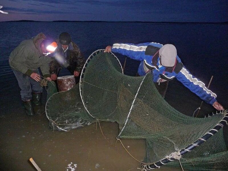Поставить рыболовную сеть